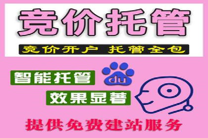 百度竞价公司案例研究：提高广告转化率的关键